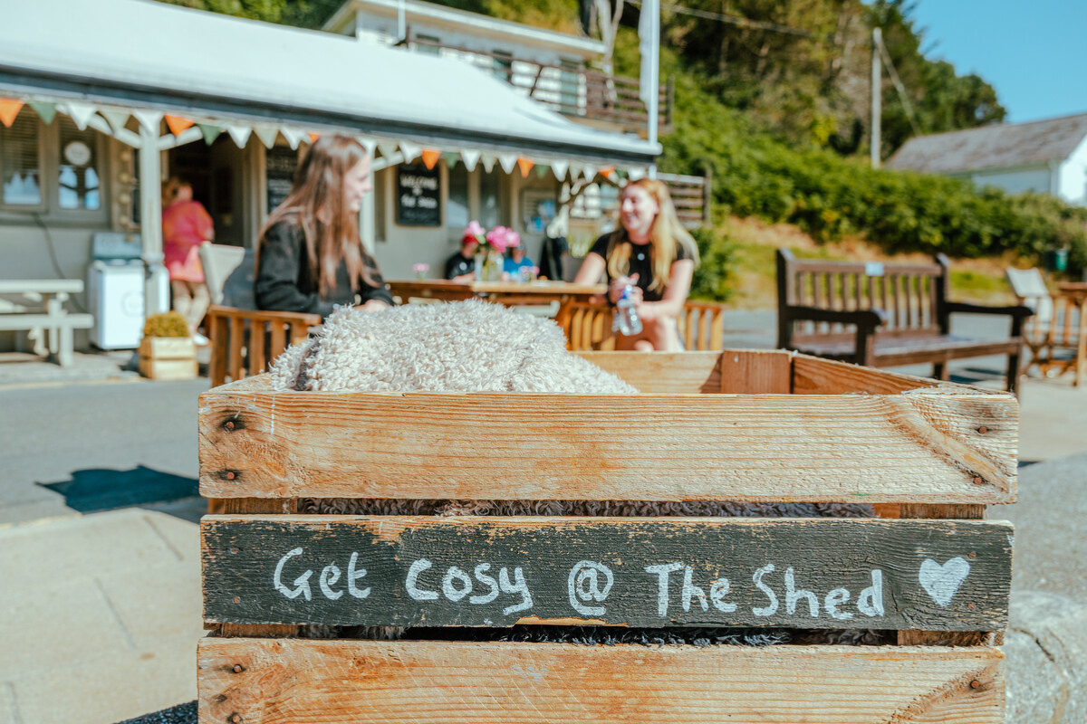 The Shed